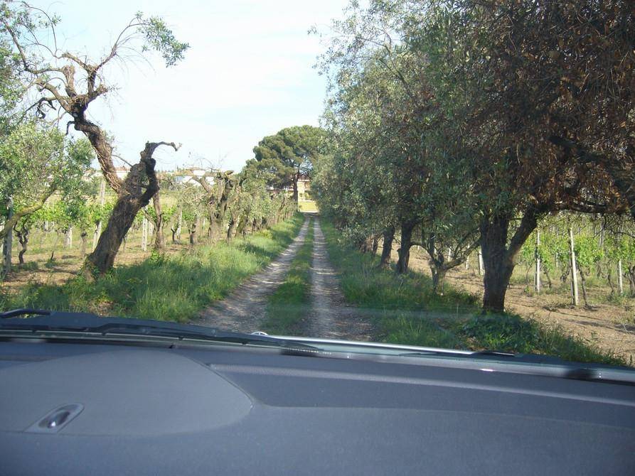 Terreno a Monteprandone in Fosso dei galli - Foto 3