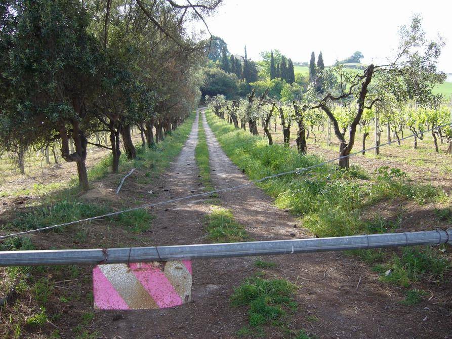 Terreno a Monteprandone in Fosso dei galli - Foto 4
