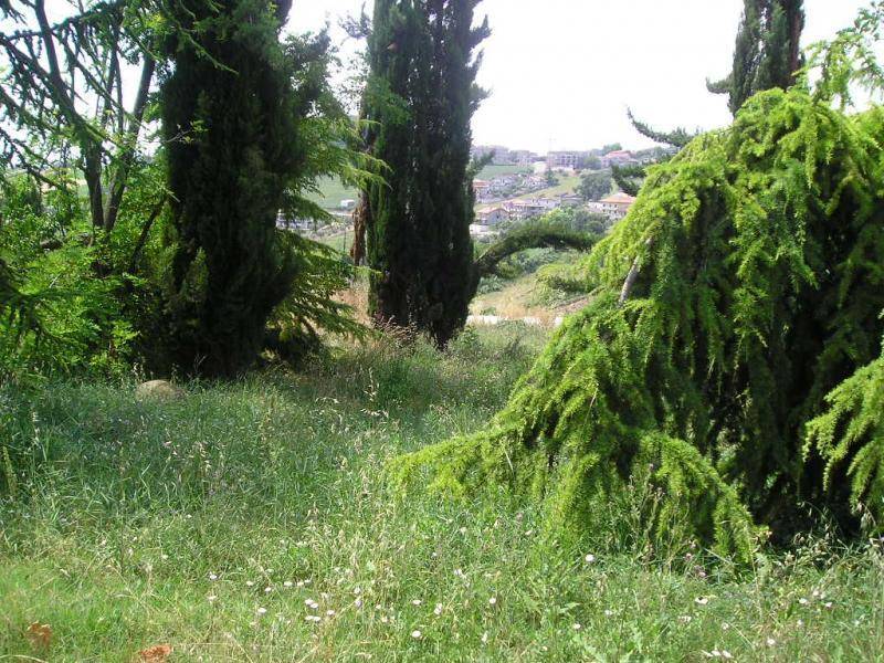 Terreno a Colonnella in Contrada Giardino - Foto 5