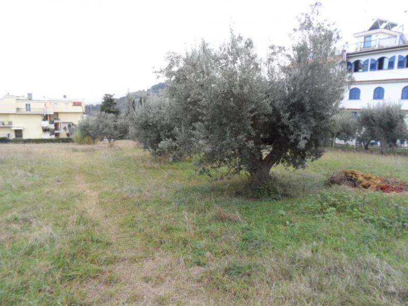 Terreno a Grottammare in Via Cilea - Foto 4