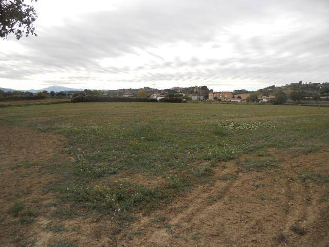 Terreno a Monsampolo del tronto in Salaria - Foto 3
