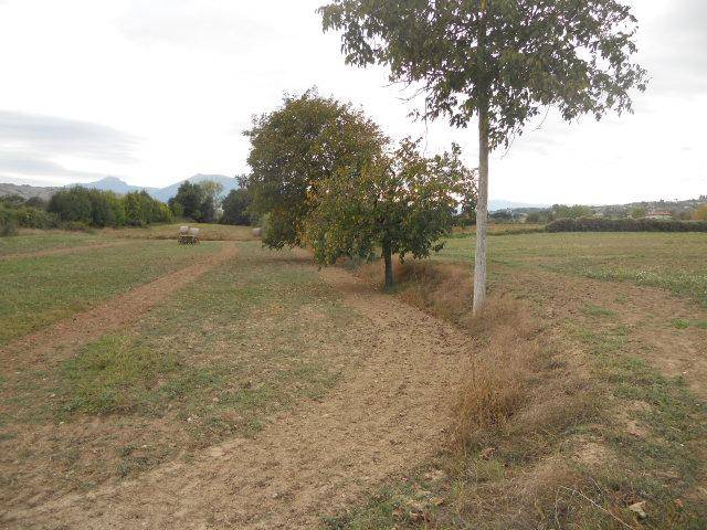 Terreno a Monsampolo del tronto in Salaria - Foto 4