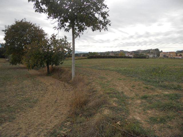 Terreno a Monsampolo del tronto in Salaria - Foto 5