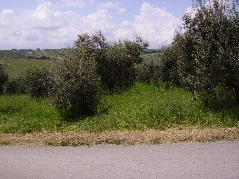 Rustico / casale a Colonnella in Contrada Rio Moro - Foto 3