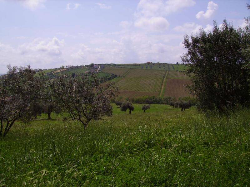 Rustico / casale a Colonnella in Contrada Rio Moro - Foto 4