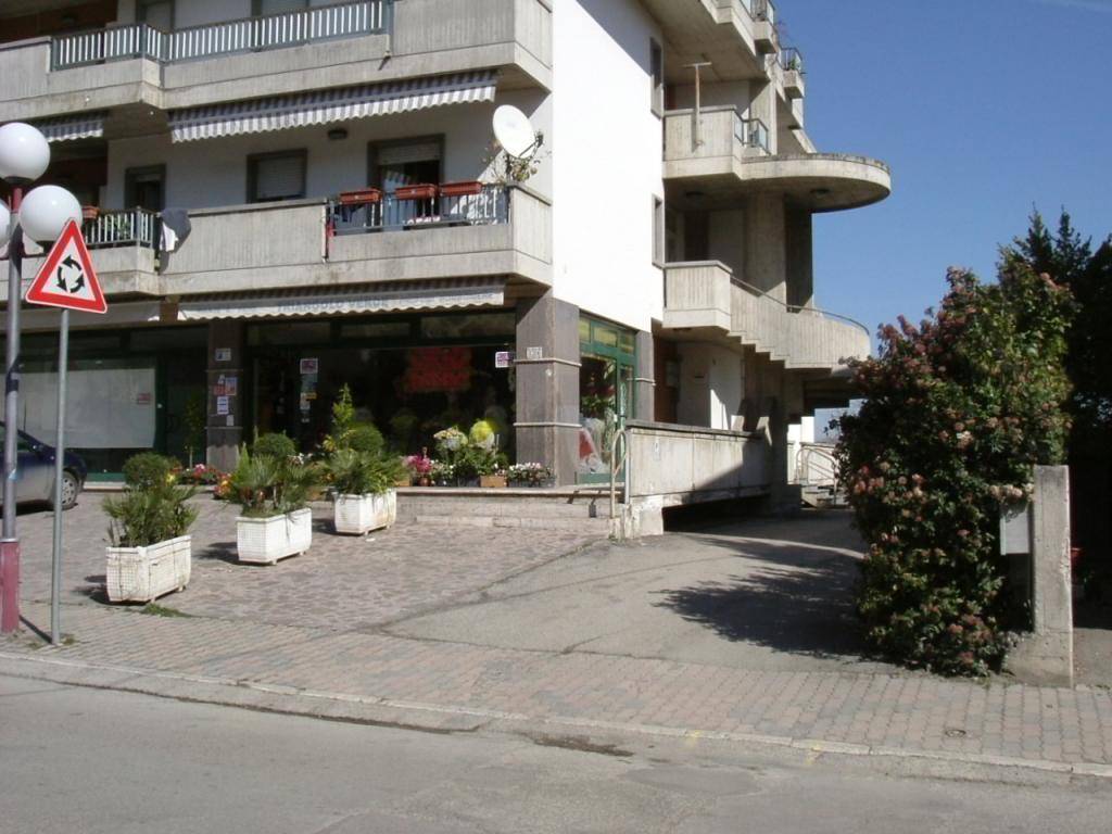 Immobile a Spinetoli - Foto 5