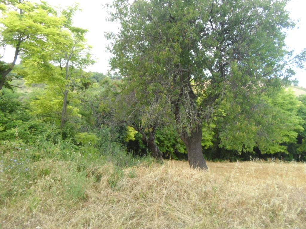 Terreno a San benedetto del tronto in Panoramica - Foto 2