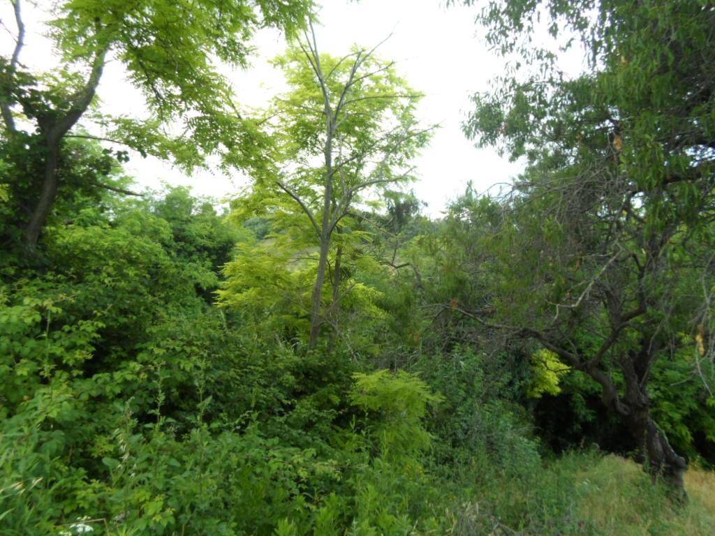 Terreno a San benedetto del tronto in Panoramica - Foto 3