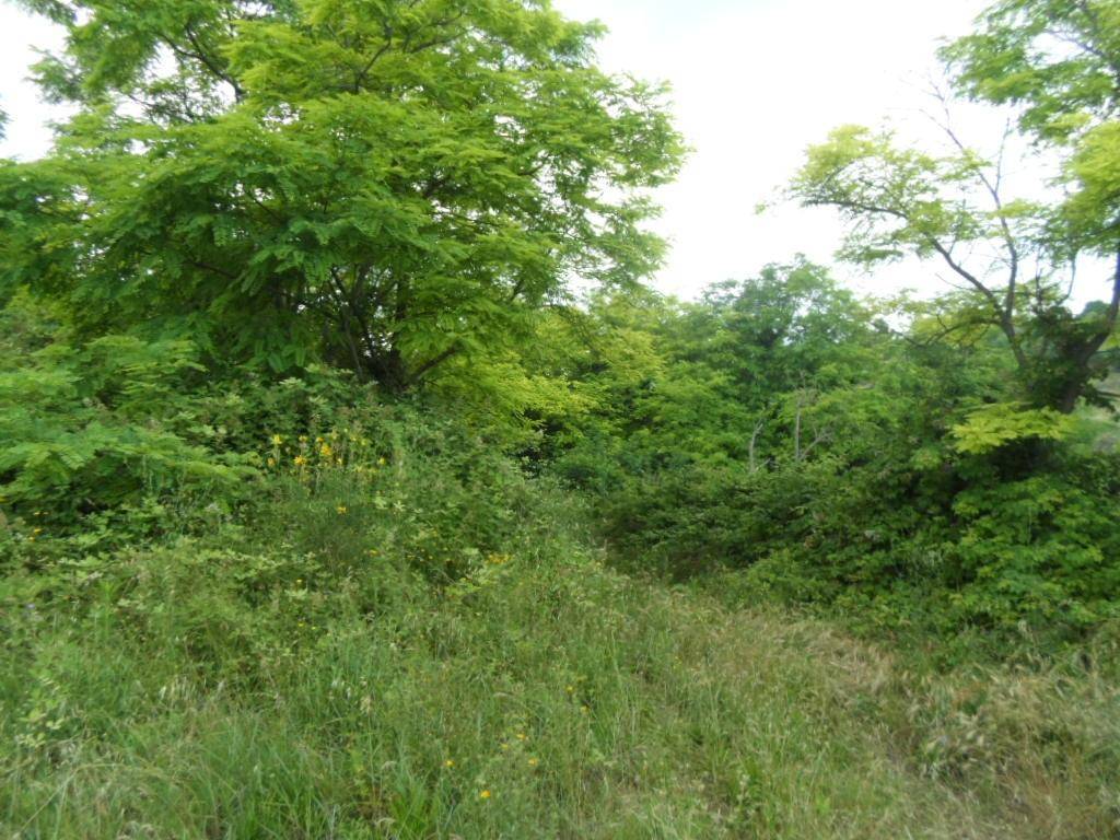 Terreno a San benedetto del tronto in Panoramica - Foto 4