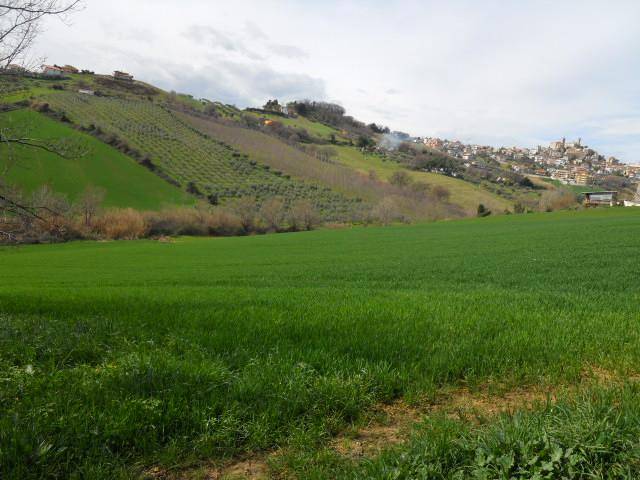 Rustico / casale a Colonnella in Contrada San Martino - Foto 3