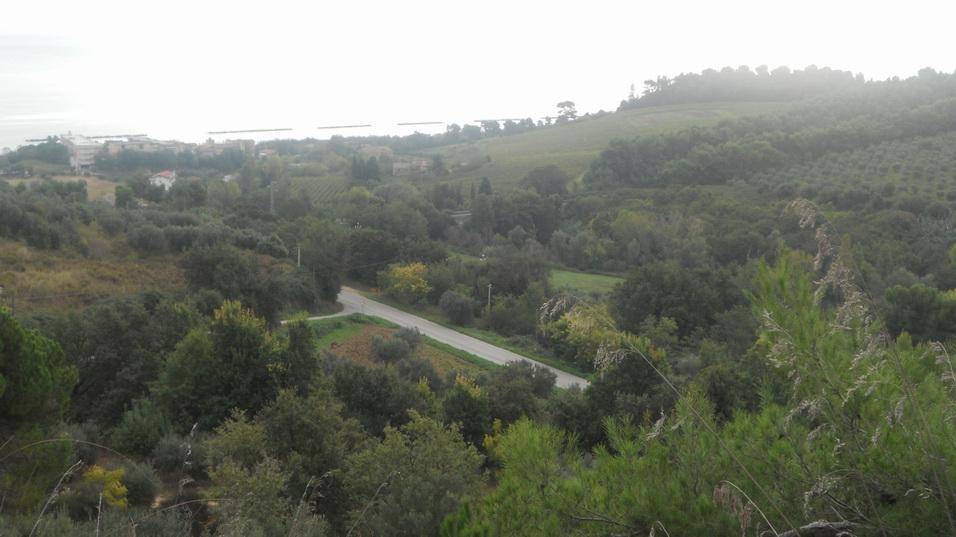 Terreno a Massignano in Contrada Santa Giuliana - Foto 2