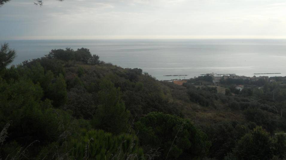 Terreno a Massignano in Contrada Santa Giuliana - Foto 3