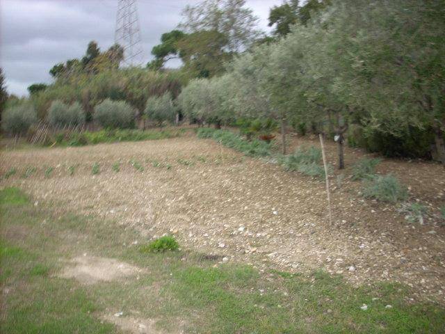 Terreno a San benedetto del tronto in Contrada Monte Acquilino - Foto 3