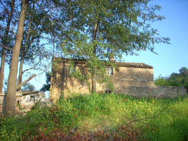 Rustico / casale a Ripatransone in Contrada Messieri - Foto 4