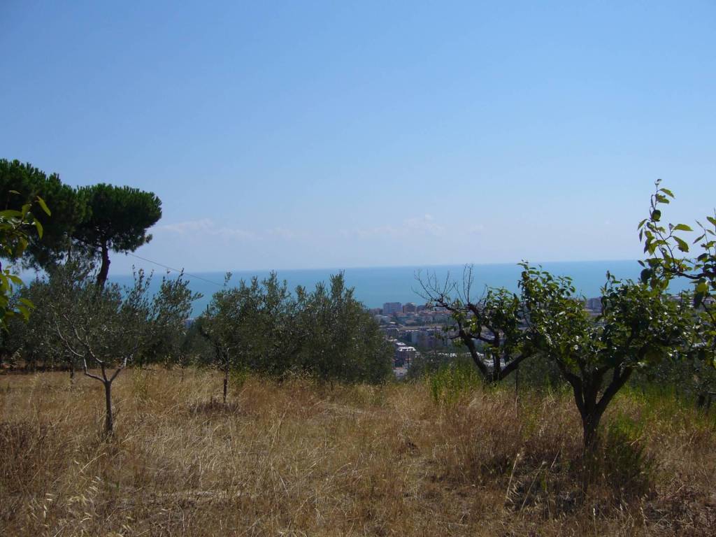 Terreno a San benedetto del tronto in Contrada Colle Monterenzo - Foto 2