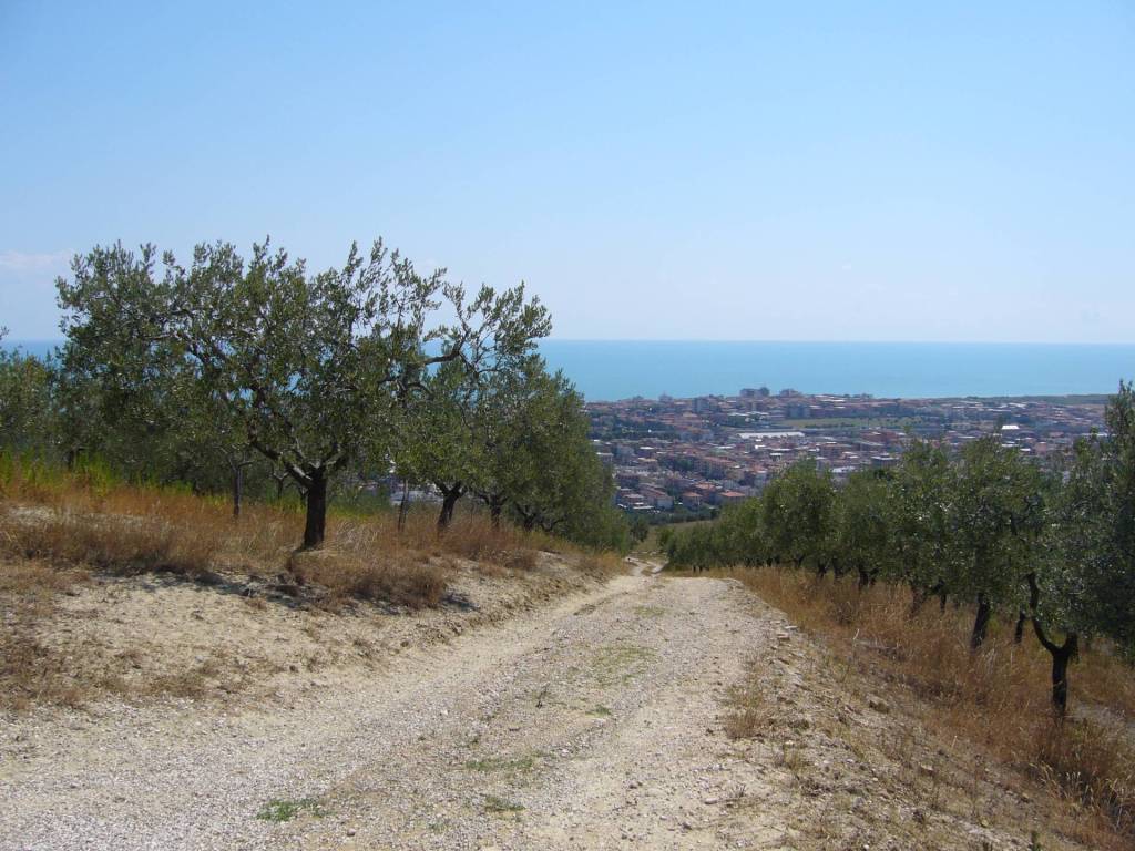Terreno a San benedetto del tronto in Contrada Colle Monterenzo - Foto 5