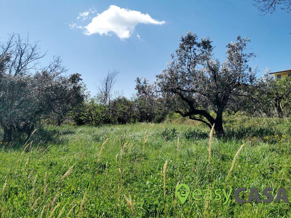 Terreno a Montecorvino rovella in Via Ponte Mileo - Foto 3
