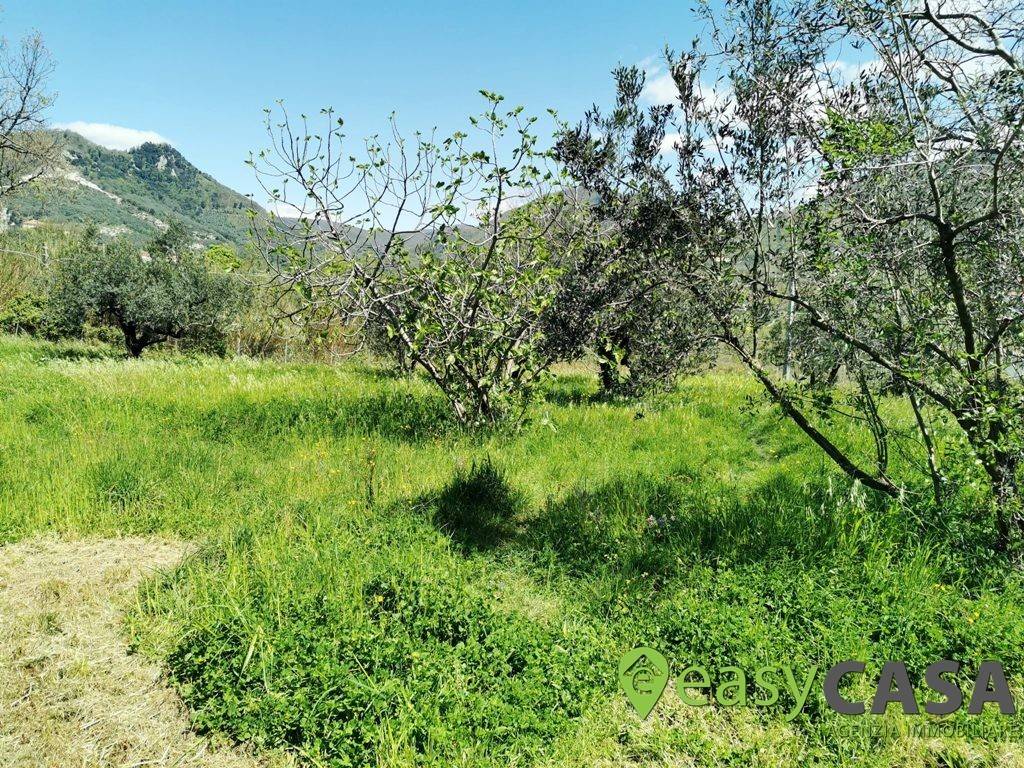 Terreno a Montecorvino rovella in Via Ponte Mileo - Foto 5