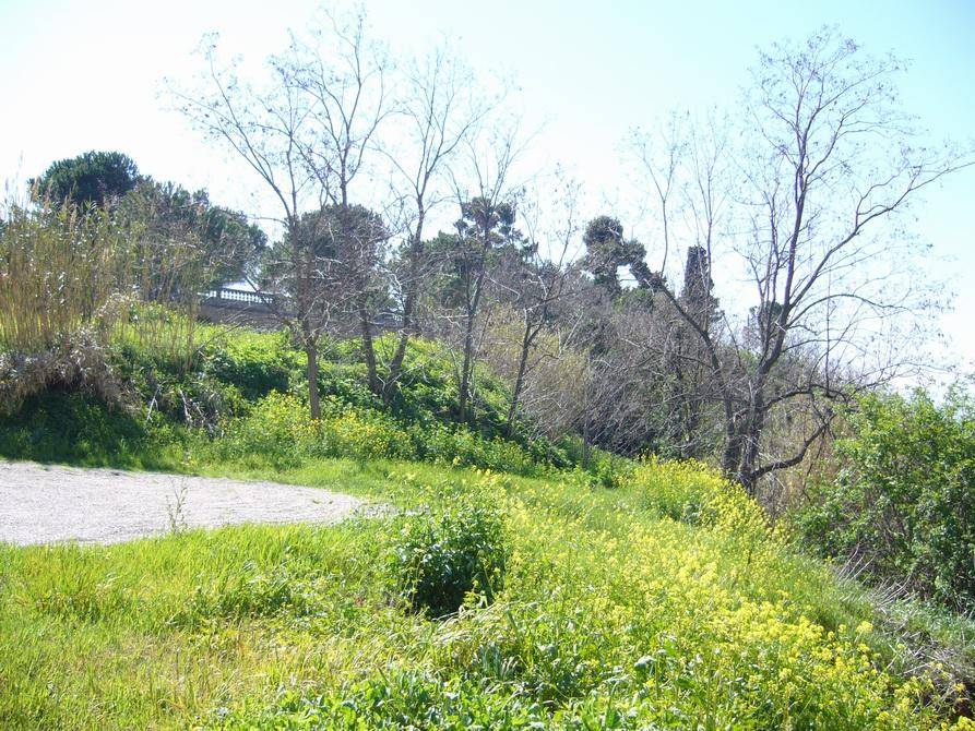 Terreno a Colonnella in Via Statuto - Foto 3