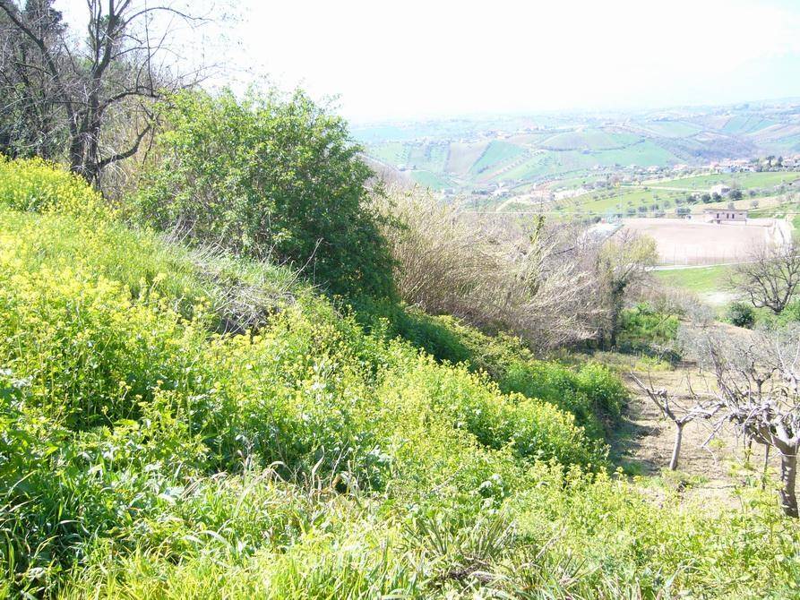 Terreno a Colonnella in Via Statuto - Foto 4