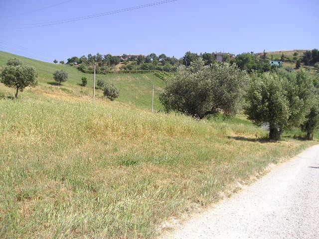 Terreno a Monteprandone in Contrada Montecretaccio - Foto 3
