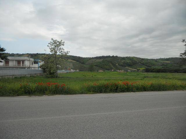 Terreno a Controguerra in Strada Bonifica del Tronto - Foto 2