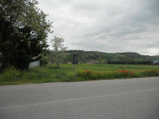 Terreno a Controguerra in Strada Bonifica del Tronto - Foto 3
