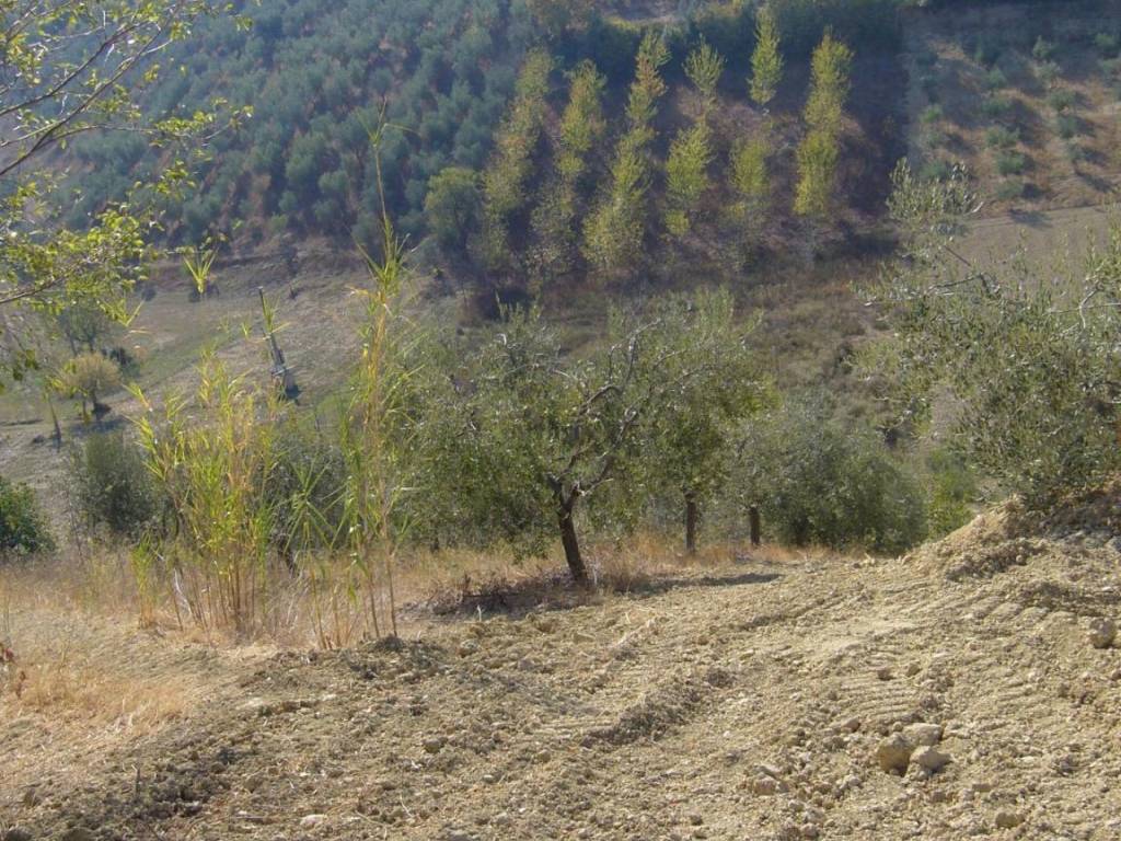 Terreno a Tortoreto in Via Pizzotondo - Foto 2