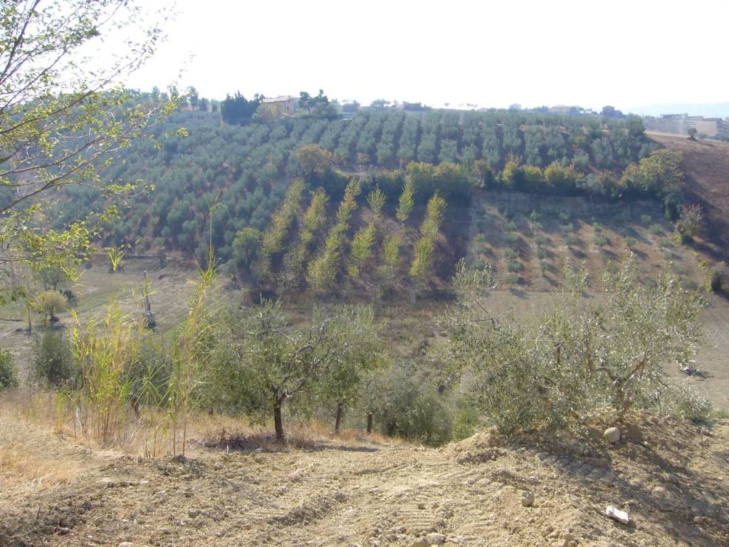 Terreno a Tortoreto in Via Pizzotondo - Foto 4