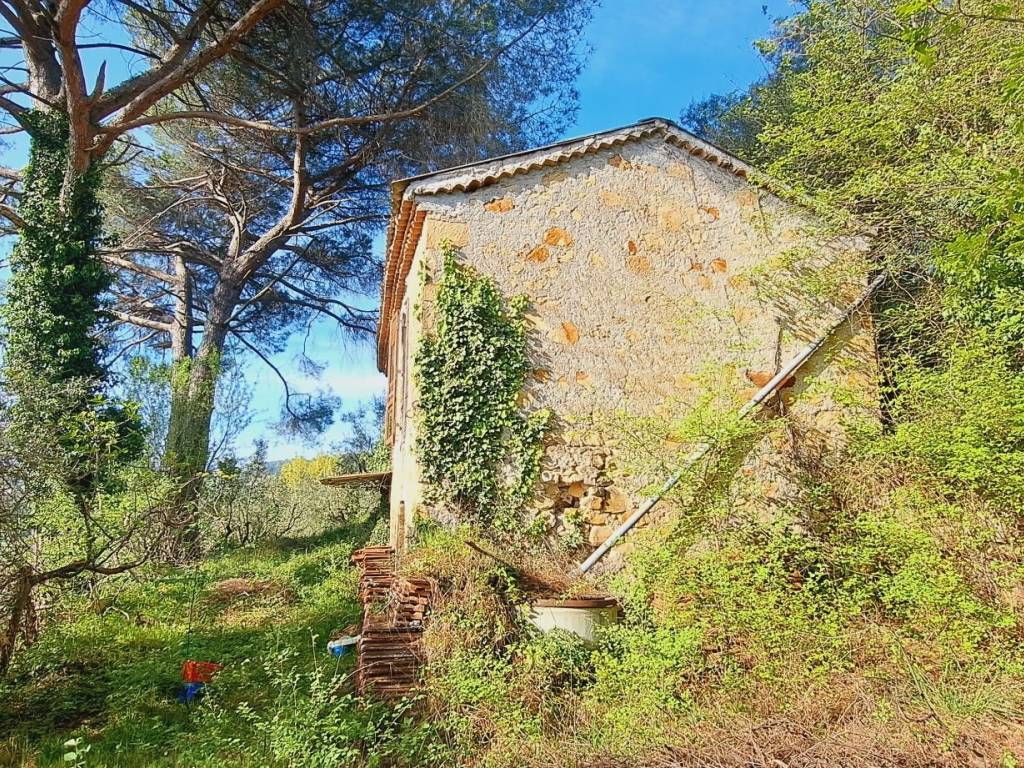 Rustico / casale a Paliano in Via Colle Monastero - Foto 4