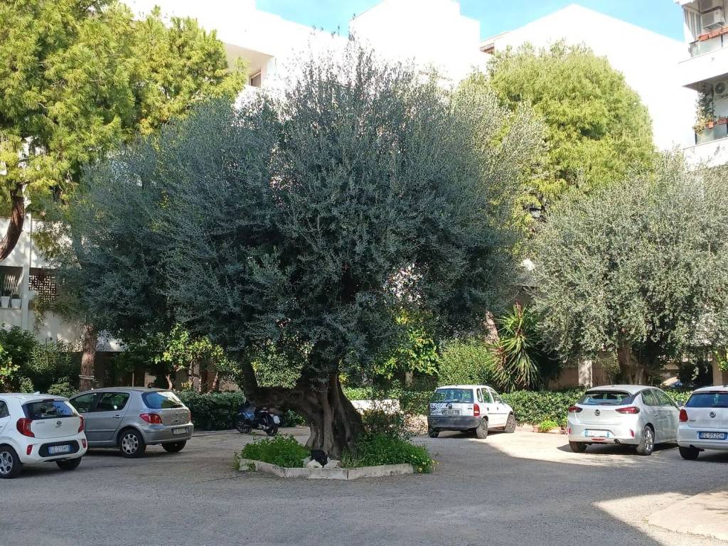 Appartamento a Taranto in Via Lago Di Molveno, 30 - Foto 4