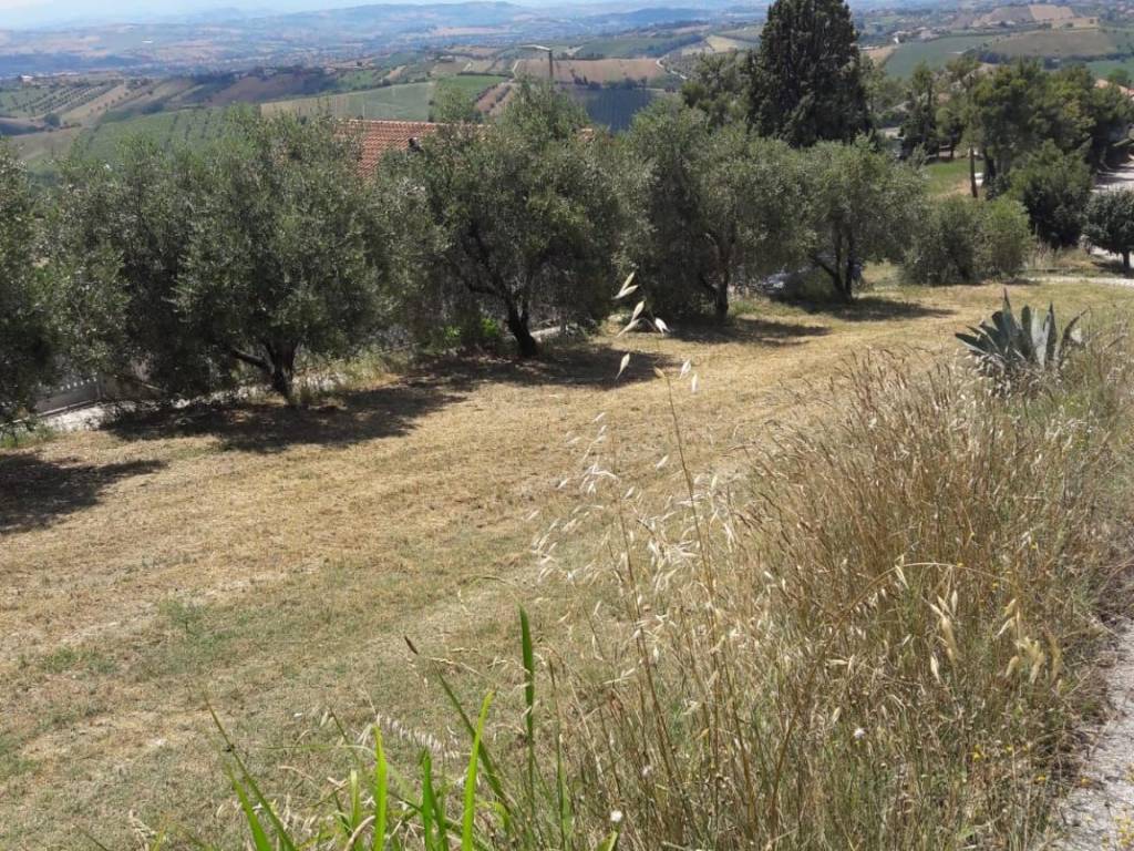 Terreno a Colonnella in Via Bonarroti - Foto 2