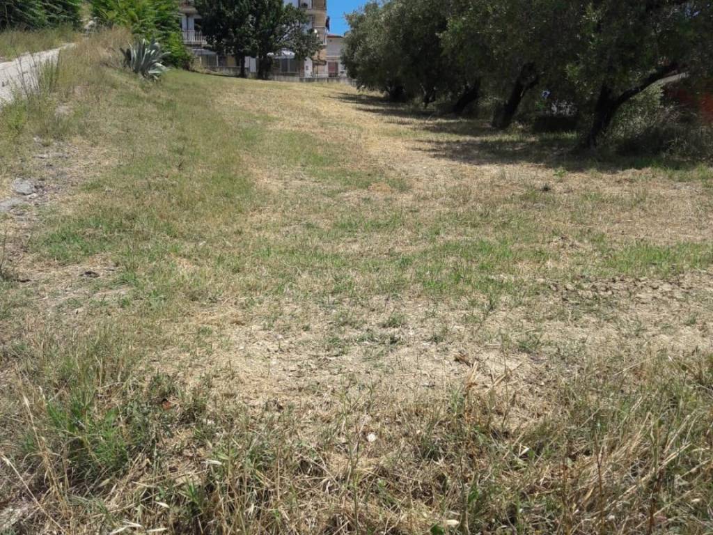 Terreno a Colonnella in Via Bonarroti - Foto 3