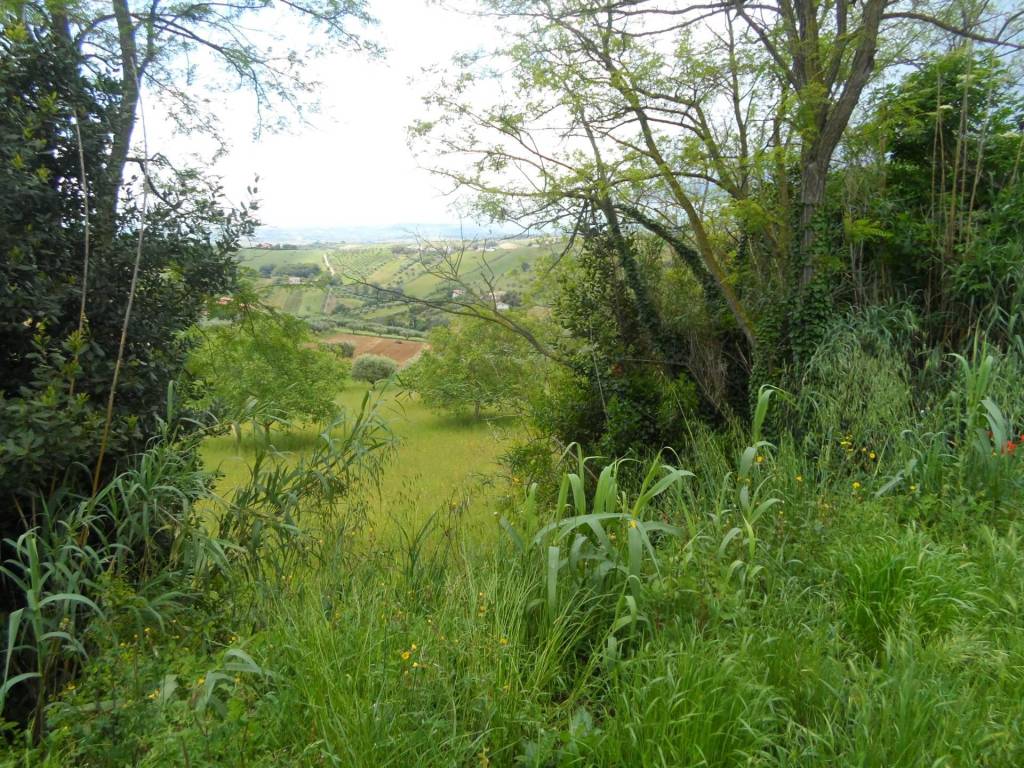 Terreno a Colonnella in Contrada Rio Moro - Foto 2