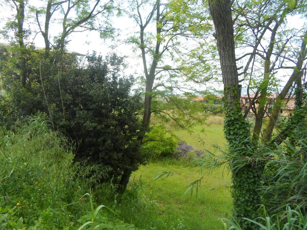 Terreno a Colonnella in Contrada Rio Moro - Foto 5