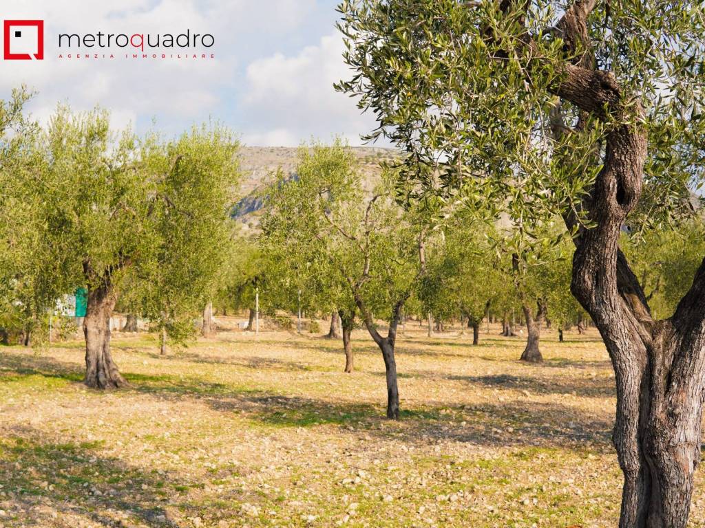 Villa a Monte sant'angelo in macchia pace - Foto 2