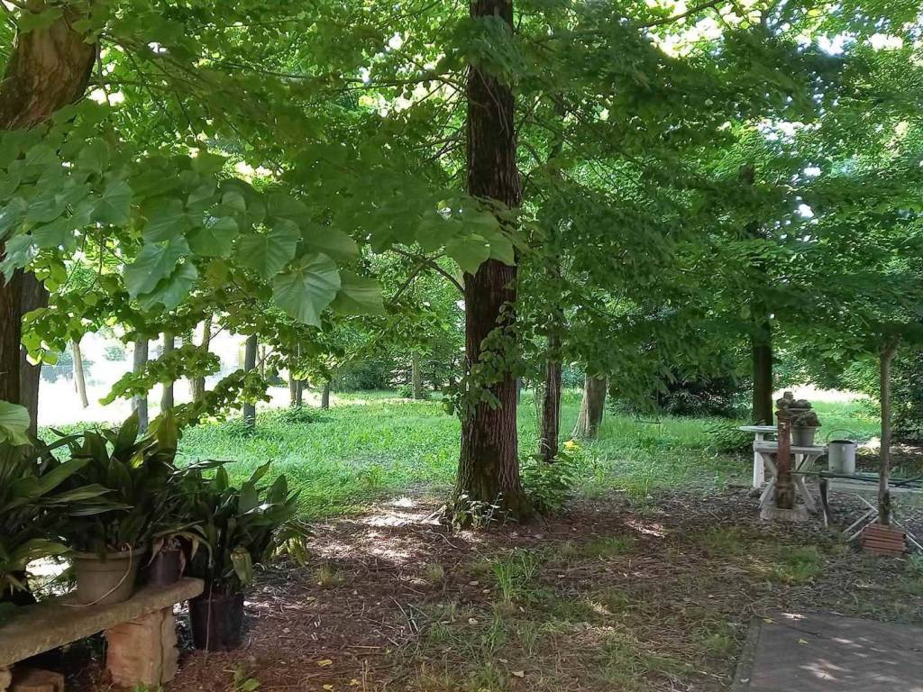 Villa a Carpi in via Budrione Migliarina parte Ovest, 86 - Foto 3