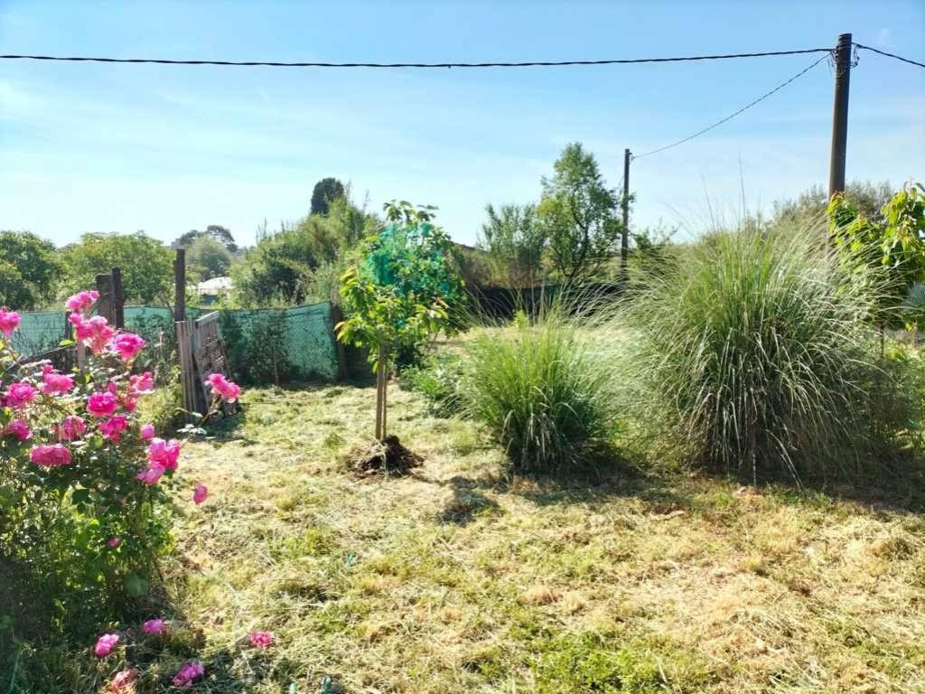 Casa indipendente a Castiglione del lago - Foto 3