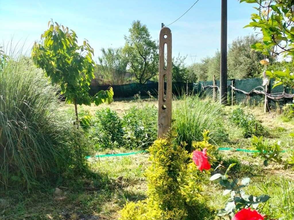 Casa indipendente a Castiglione del lago - Foto 4