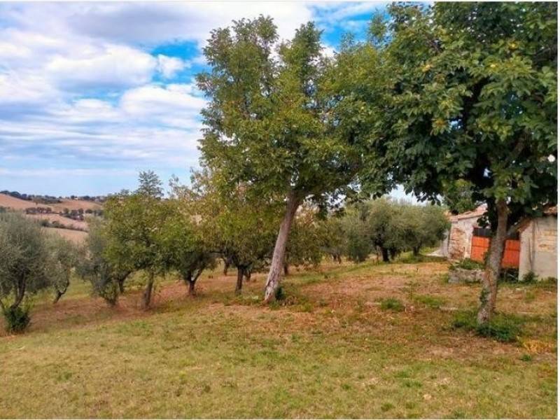 Rustico / casale a Belvedere ostrense in Via Castagna, 1 - Foto 2