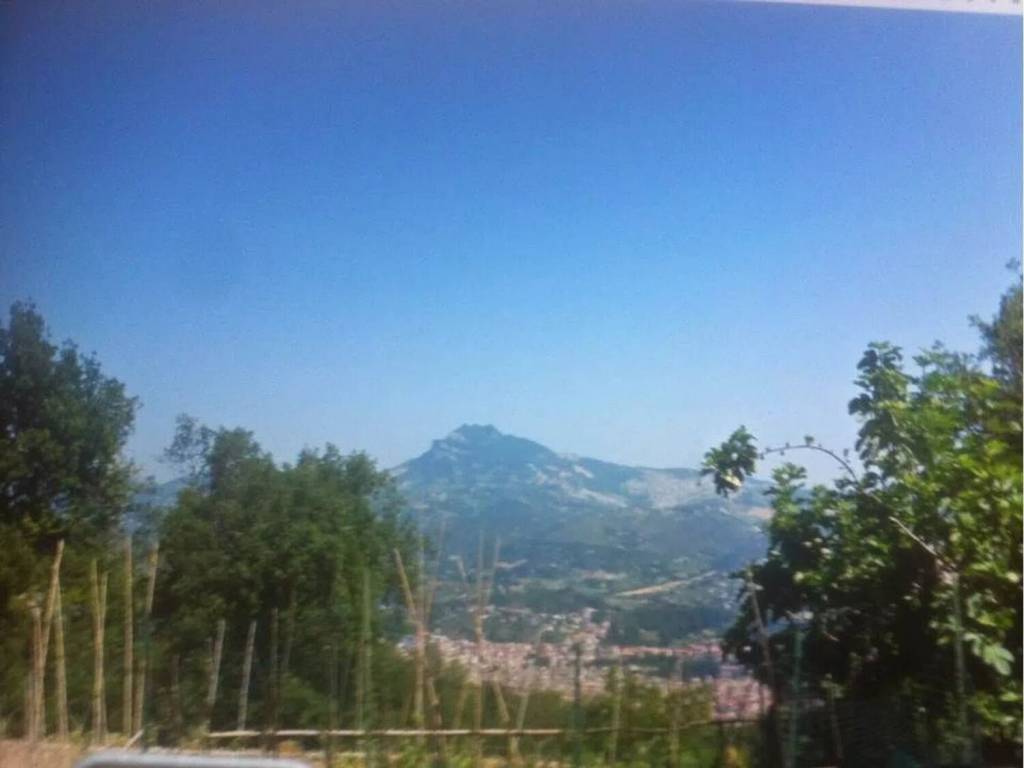 Terreno a Ascoli piceno in Strada Provinciale 76 Colle San Marco, 287 - Foto 5