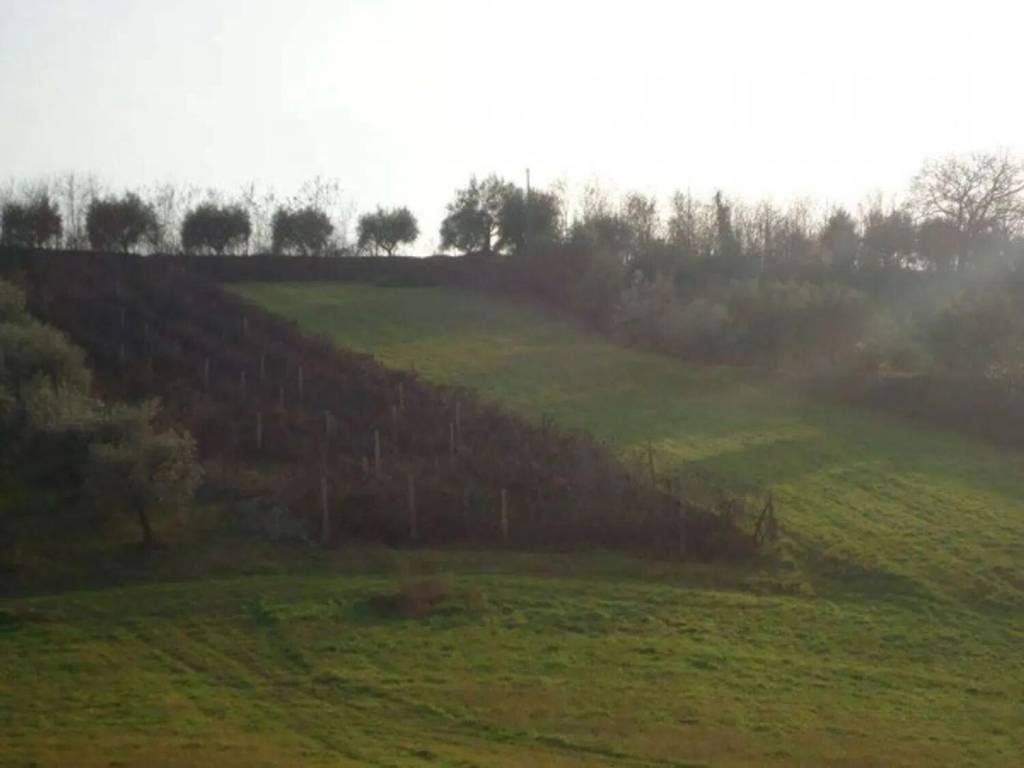Rustico / casale a Ascoli piceno in Frazione Fonte Di Campo - Foto 2