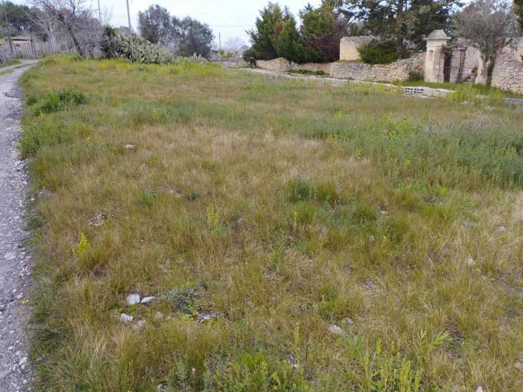 Terreno a Specchia in SP75 - Foto 2