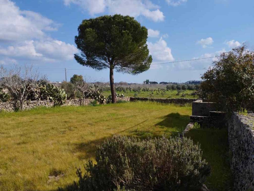 Terreno a Specchia in SP75 - Foto 5