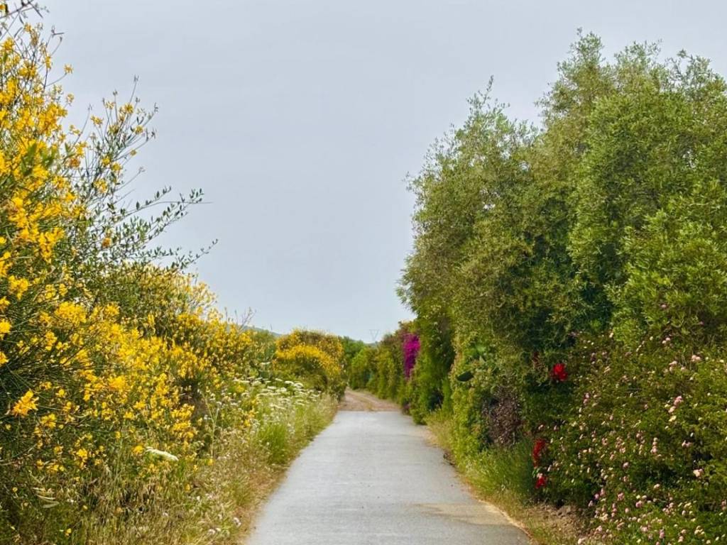 Villa a Uta in SP2 - Foto 2