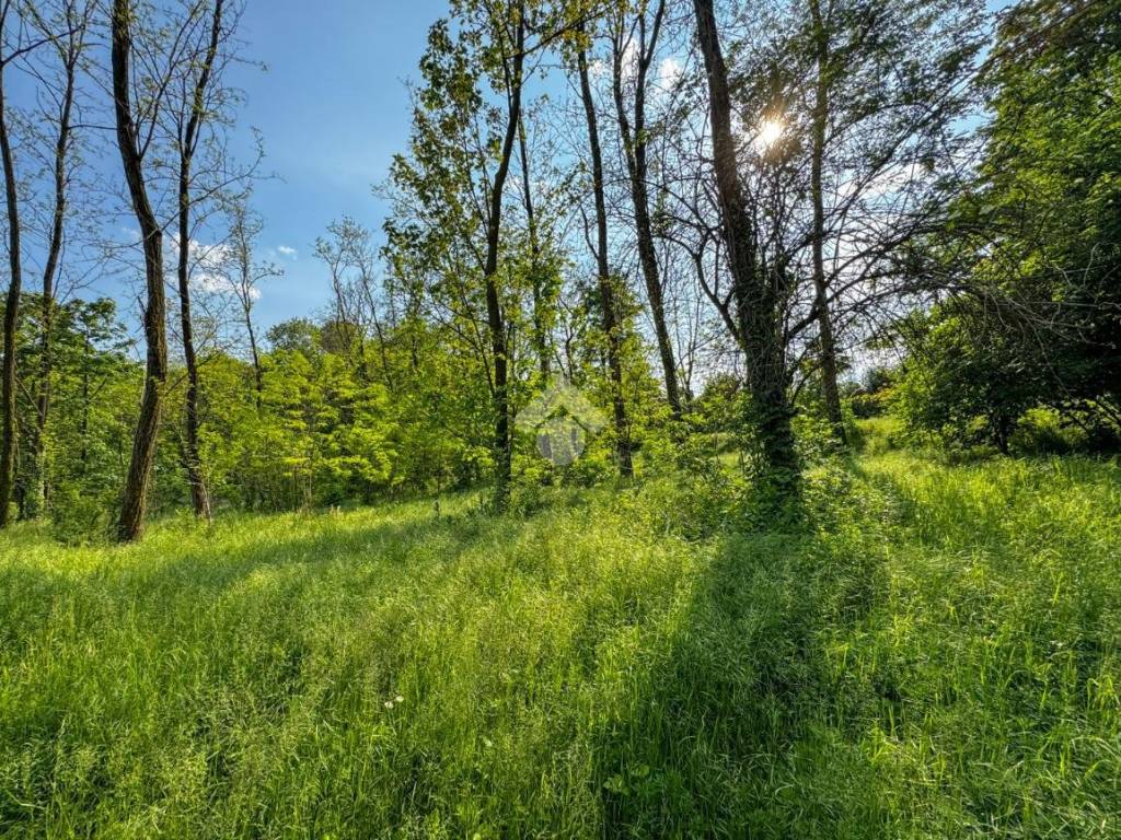 Terreno a Barzanò in Via Papa Giovanni XXIII - Foto 3