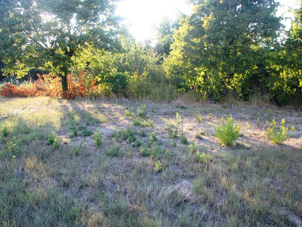 Terreno a Montefalco in Montefalco - Foto 3