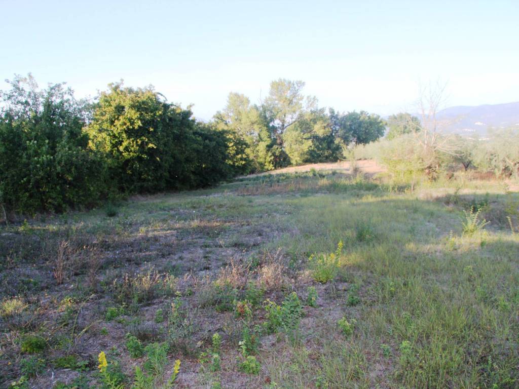 Terreno a Montefalco in Montefalco - Foto 4