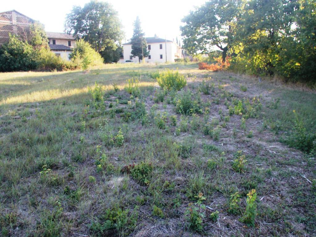 Terreno a Montefalco in Montefalco - Foto 5
