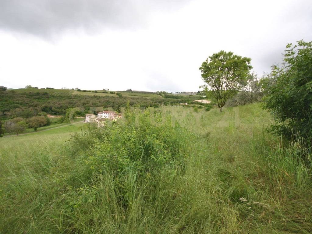 Terreno a Grezzana in Località La Cana - Foto 2